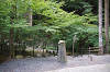 camp30 (176)_thumb.png